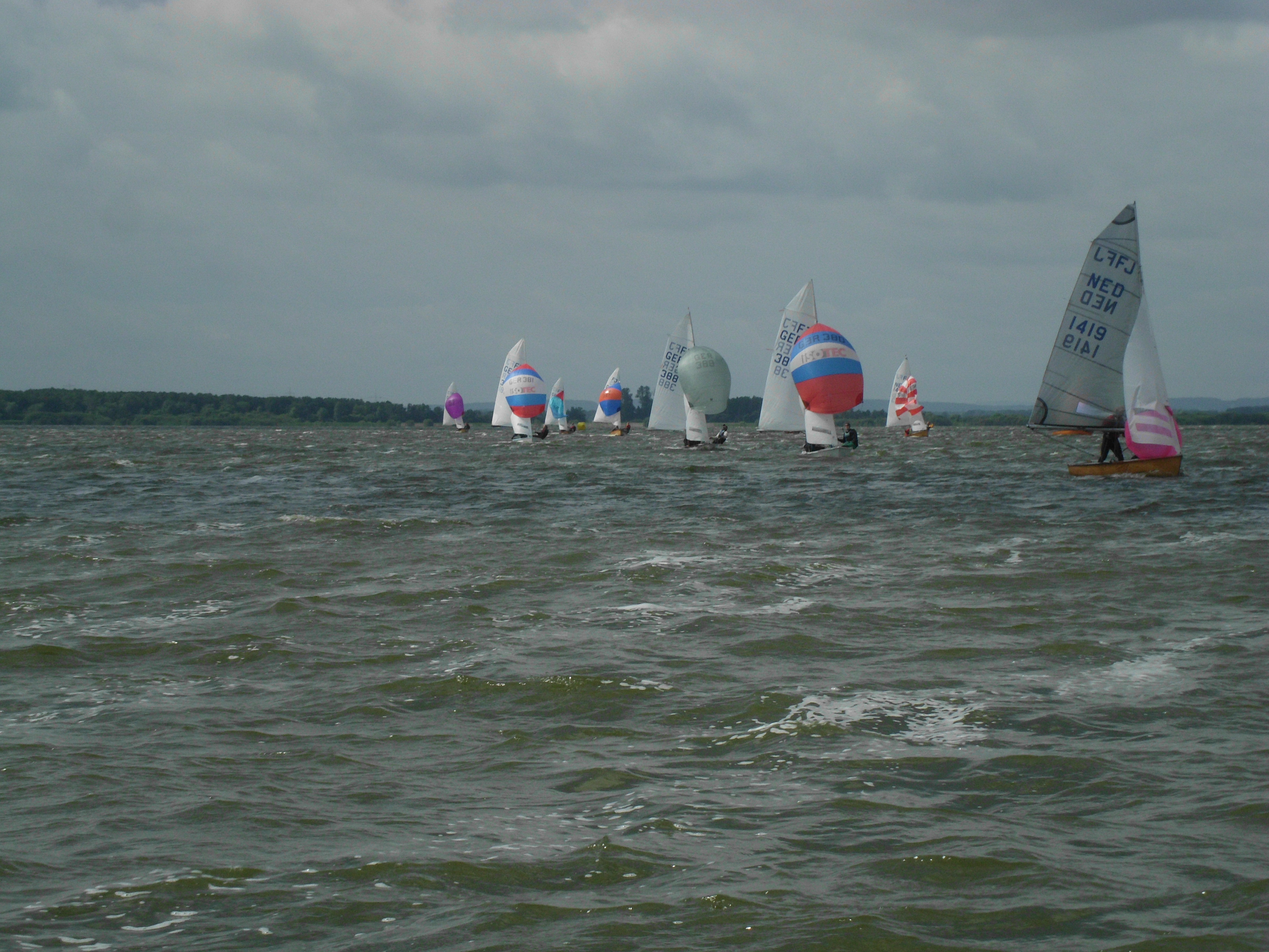 DSCI0043
